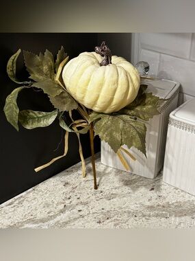 Cream Decorative Pumpkin Stem Pick - Home Accents